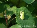 【お題日記】オナ見せしたことある？