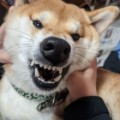 彼・彼女からのHがしたいサイン