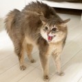 理想のデート、初回と3回目でどう変える？
