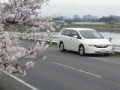 桜便り再び