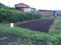 本日の作業（定点観測の場所を秋に向けて準備）
