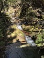 王室の百年（最近してみたい髪色）