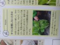 白菜を縛っておこうかしら（お題：理想のクリスマス？）
