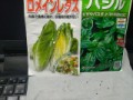 ロメインレタスとスイートバジル