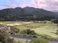 田園風景、白いのはそば畑に