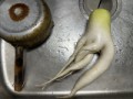 今年のセクシー大根
