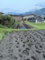 今年は保存に細心の注意を！