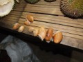 ドリアンの種