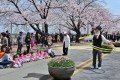 【お題日記】海外にもある花見（桜）スポットを挙げて