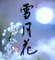 本日のョ作品は　雪月花