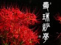 本日の書作品は曼珠沙華