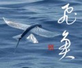 飛魚