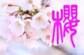 櫻（桜）