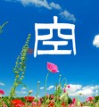 空
