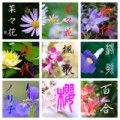 名前書きました。
