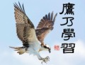 鷹乃学習 (たかすなわちわざをならう)