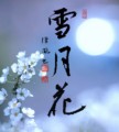 雪月花