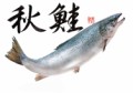 秋鮭
