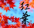 紅葉