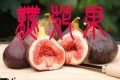 無花果