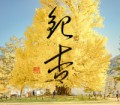 銀杏