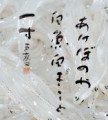 あけぼのや白魚白きこと一寸
