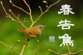 春告鳥