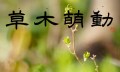 草木萌動
