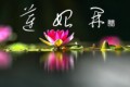 蓮始開②