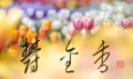 「鬱金香（うっこんこう）②
