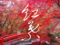 紅葉