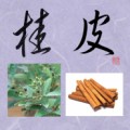 桂皮②