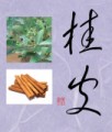 桂皮②