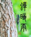 蝉時雨2