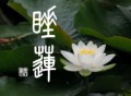 睡蓮