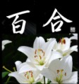 百合②