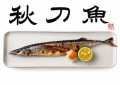 秋刀魚