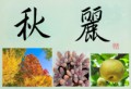 秋麗②