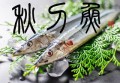 秋刀魚