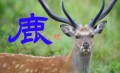 鹿