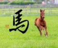 馬②