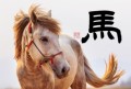 馬②