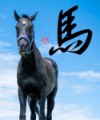 馬③
