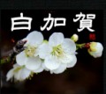 白加賀