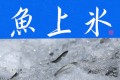 魚上氷②