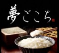 夢ごこち