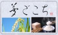 夢ごこち