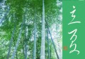 立夏2