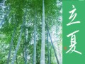 立夏②