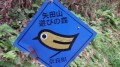 【お題日記】今住んでいる所に愛着ある？